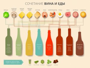 Инфографика закуски для вина сочетание вкусов